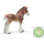 Schleich Clydesdálské hříbě – Zboží Mobilmania