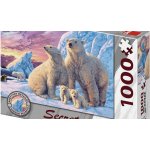 Dino Secret Collection: Lední medvědi 1000 dílků – Sleviste.cz