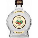 R. Jelínek Pálenka z jahod 42% 0,2 l (holá láhev) – Hledejceny.cz
