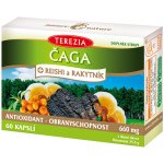 Terezia Company Čaga Reishi a Rakytník 60 kapslí – Hledejceny.cz