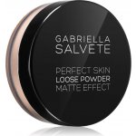 Gabriella Salvete Perfect Skin Loose Powder Matující pudr 02 6,5 g – Zbozi.Blesk.cz