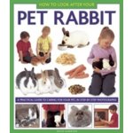 How to Look After Your Pet Rabbit – Hledejceny.cz