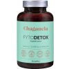 Doplněk stravy na detoxikaci Chaganela FytoDETOX Chaga + Chlorella + Spirulina 90 kapslí