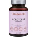 Chaganela extrakt z houby Cordyceps 60 kapslí – Hledejceny.cz