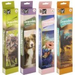Alltoys Canenco Malování pomocí kamínků Diamond pejsek 30x30 cm – Hledejceny.cz