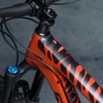 ochranná folie DYEDbro Zebra – Hledejceny.cz