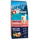 Ontario Adult Large 7 Fish & Rice 12 kg – Hledejceny.cz