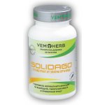 VemoHerb Solidago 90 kapslí Zlatobýl obecný – Hledejceny.cz