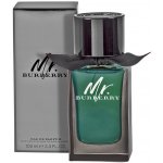 Burberry Mr. Burberry parfémovaná voda pánská 100 ml – Sleviste.cz