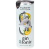 Míchané nápoje Svachovka Gin & Tonic 7,2% 0,25 l (plech)