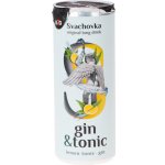 Svachovka Gin & Tonic 7,2% 0,25 l (plech) – Zboží Dáma