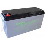 Leaftron 12V 100Ah LTG12-150 – Zboží Živě