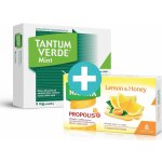 TANTUM VERDE MINT ORM 3MG PAS 40 – Zboží Mobilmania
