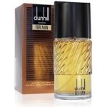 Dunhill Dunhill toaletní voda pánská 100 ml – Hledejceny.cz