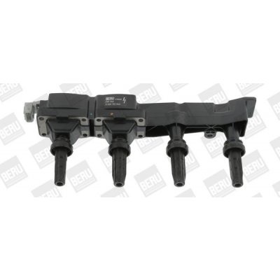 Zapalovací cívka BorgWarner (BERU) ZSE046 – Hledejceny.cz