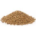 QuickTea Anýz plod celý 500 g – Zboží Dáma