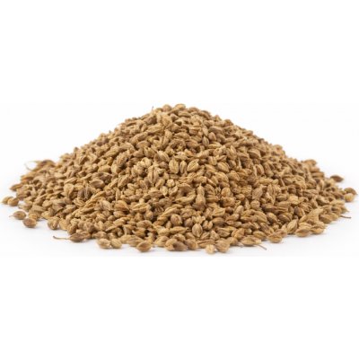 QuickTea Anýz plod celý 500 g – Zboží Dáma