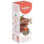 Bolsius aroma difuzér Oud Wood 45 ml – Zboží Dáma