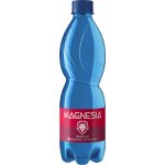 Magnesia perlivá 12 x 0,5 l – Sleviste.cz