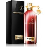 Montale Sliver Aoud parfémovaná voda pánská 100 ml – Hledejceny.cz