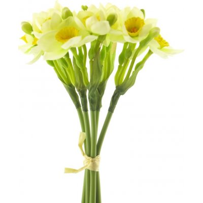 Narcis - Narcissus (Daffodil) svazek x5 krémový/zelený 32 cm
