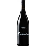 Plenér Frankovka 2022 12% 0,75 l (holá láhev) – Zboží Dáma