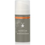 Mühle Sea Buckthorn balzám po holení 100 ml – Zboží Dáma