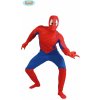 Karnevalový kostým Pavoučí muž