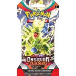 Pokémon TCG Obsidian Flames Blister Booster – Zbozi.Blesk.cz