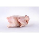 Falco mražený salám kuře celé mleté 1000 g – Zbozi.Blesk.cz