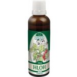 Naděje Hloh tinktura z pupenů rostlin 50 ml – Hledejceny.cz
