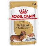 Royal Canin Adult Dashund 12 x 85 g – Zbozi.Blesk.cz