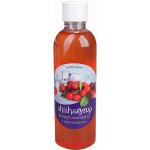 ShishaSyrup Melasa Ledová brusinka 100 ml – Zboží Dáma