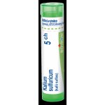KALIUM SULFURICUM POR 5CH GRA 1X4G – Hledejceny.cz