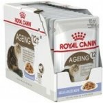 Royal Canin Feline Ageing 12 + Jelly 12 x 85 g – Hledejceny.cz