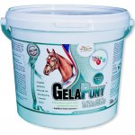 Orling Gelapony Vitamin 1,8 kg – Hledejceny.cz