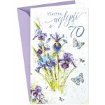 ARGUS Přání k narozeninám 70 15-6385c70 – Hledejceny.cz