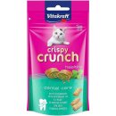 Krmivo pro kočky Vitakraft Crispy Crunch Dental 60 g
