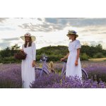 BIO Levandule Chodouňská Wellness a beauty baliček v Levandulovém údolí Dárkový poukaz: PDF elektronická verze poukazu – Hledejceny.cz