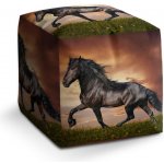 Sablio taburet Cube friský kůň 40x40x40 cm – Zboží Mobilmania