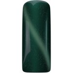 Magnetic Nail Cat Eye Jade Magnetický gel lak na nehty Kočičí oko 15 ml