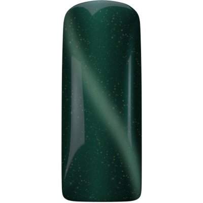 Magnetic Nail Cat Eye Jade Magnetický gel lak na nehty Kočičí oko 15 ml – Zbozi.Blesk.cz