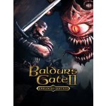 Baldurs Gate 2 (Enhanced Edition) – Zboží Dáma