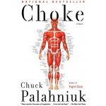 Choke Palahniuk Chuck Paperback – Hledejceny.cz