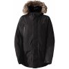 Pánská bunda The North Face Parka Arctic Goretex