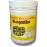 B-compositum plv sol 1 kg – Zboží Dáma