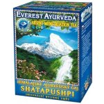 Everest Ayurveda Shatapushpi 100 g – Hledejceny.cz