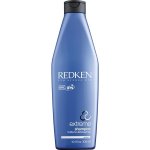 Redken Extreme Shampoo 300 ml – Hledejceny.cz