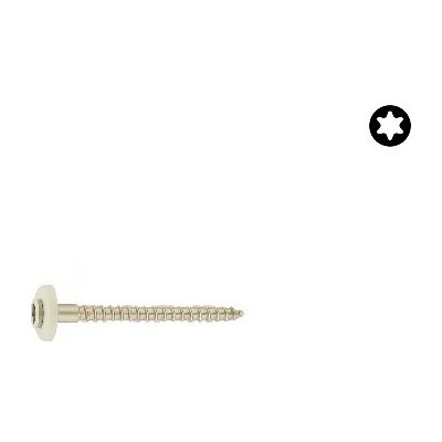 Vrut ČH TORX + podložka 20mm A2 4,5x045 – Hledejceny.cz