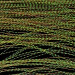 Hends Streamerové Vlasy Krystal Flash Extra Fine Olive – Hledejceny.cz
